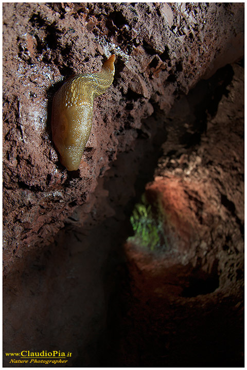  mine, cave, miniera, underground, photography, nature photographer